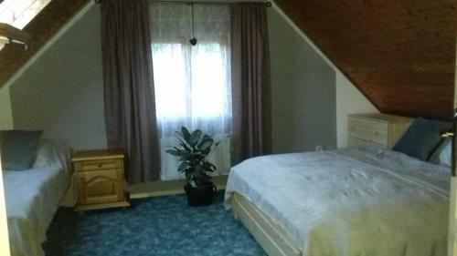 Apartm�ny Na Hl�n?