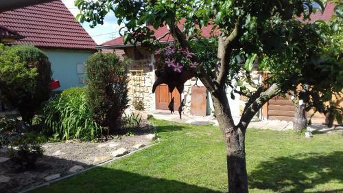 Apartm�ny Na Hl�n?