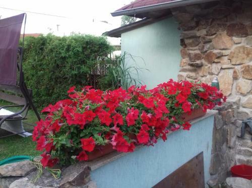 Apartm�ny Na Hl�n?