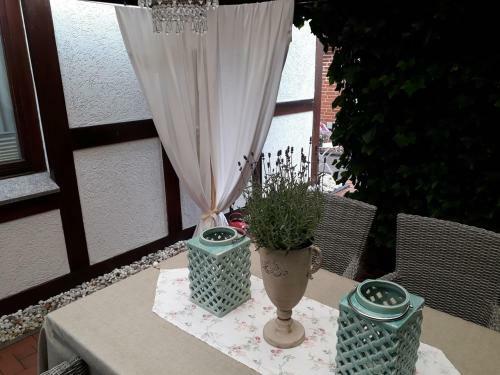 Ferienhaus Strandblume