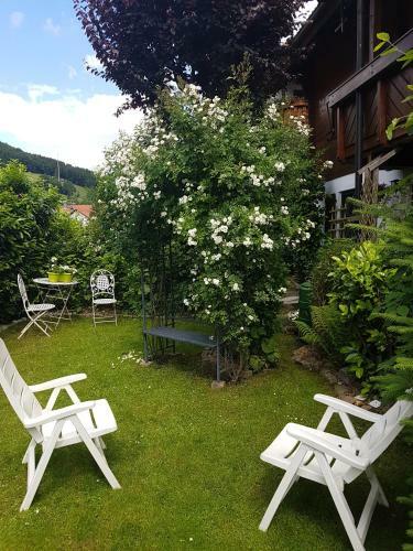 Apartamento Schwarzwaldhaus