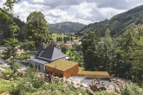 Hotel Forest Resort