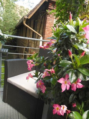 Apartamento Amtorli