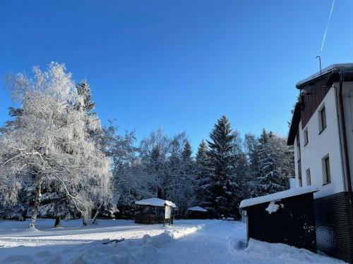 Hostal Hotel A Penzion Pegas