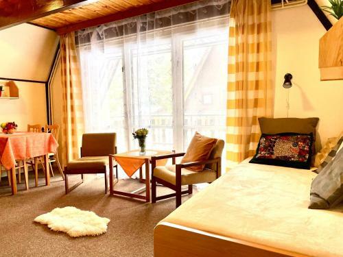 Hostal Hotel A Penzion Pegas