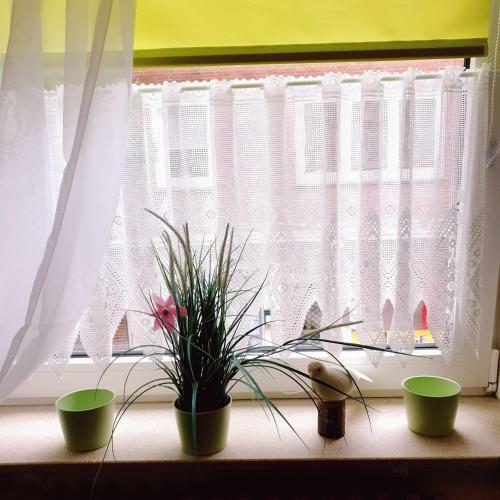 Apartamento Riposo