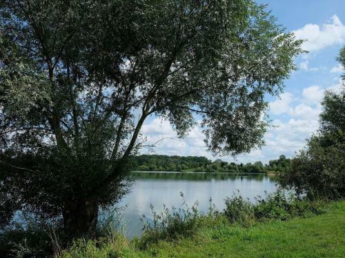 Hostal Pension Steinle
