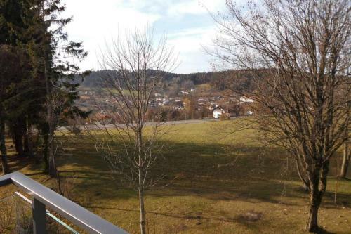 Apartamento Bayerwald Appartement