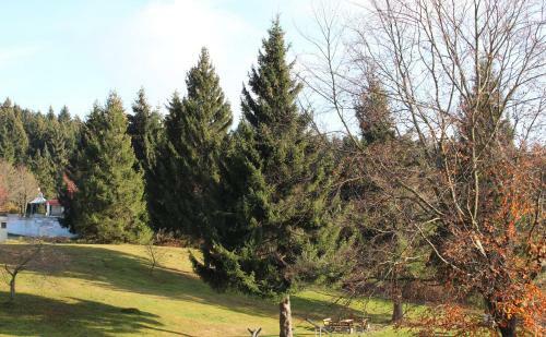 Apartamento Ferienappartement In Sankt Englmar
