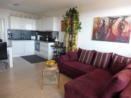 Apartamento Komfortable Wohnungen Und Studio In Sankt Englmar