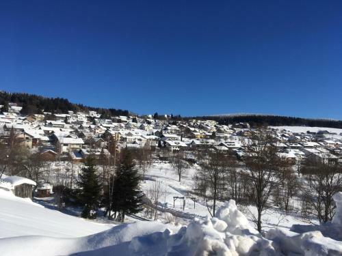 Apartamento Komfortable Wohnungen Und Studio In Sankt Englmar