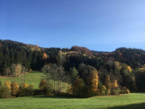 Apartamento Komfortable Wohnungen Und Studio In Sankt Englmar