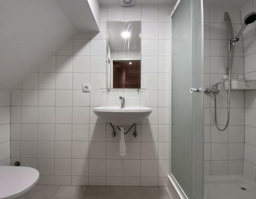 Hostal Ubytov�n� U Tran?