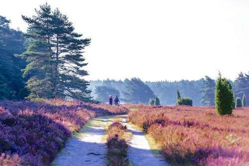 Ferienhaus L�neburger Heide