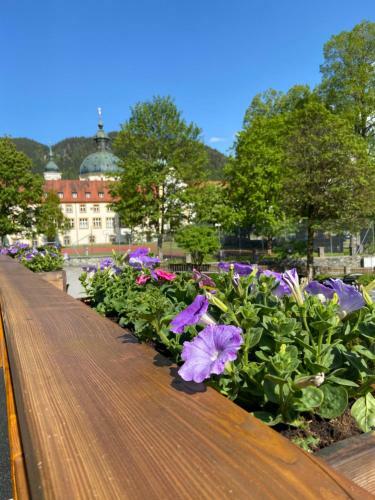 Apartamento Ferienwohnung K�nigsberger Klosterblick