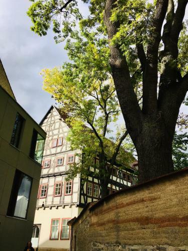 B�rliner Hotel