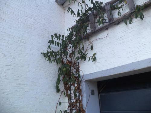 Apartamento Ferienappartment Mit Schlafzimmer