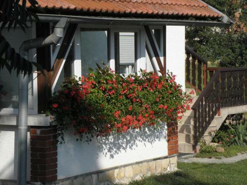 Apartments Sanja
