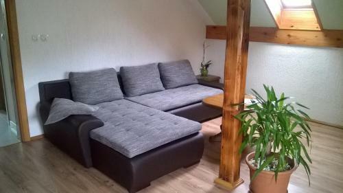 Apartments Sanja