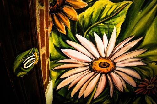 Great Hostels Backpackers