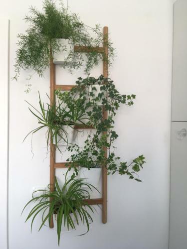 Apartamento Sol Apt