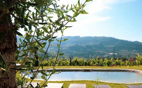 Villa Vale Da Fonte - Charming Houses