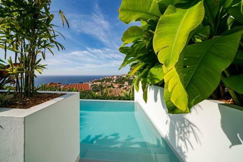 Casas Da Vargem Shared Swimming Pool By An Island Apart
