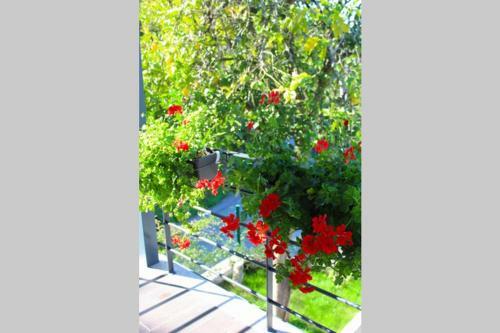 Recanto Tia S�o Magalh�es