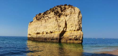 Apartamento Casa Angela, 180m From The Beach