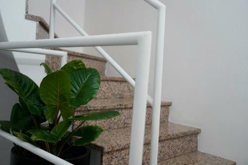 Apartamento Casa Da Laurindinha