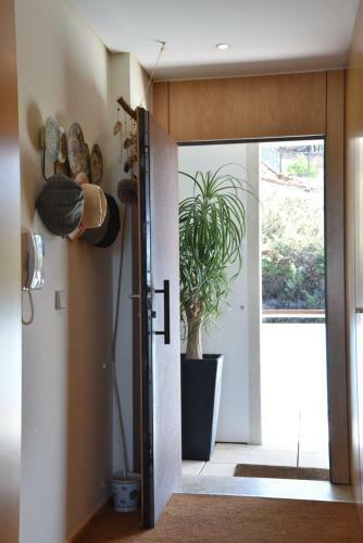 Apartamento Varanda Do Golfe