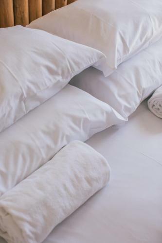 Albergue Mute