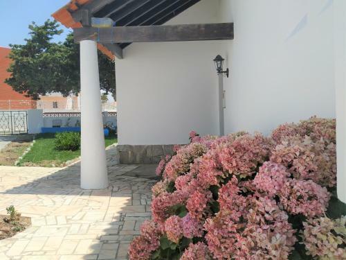 Villa Mariana