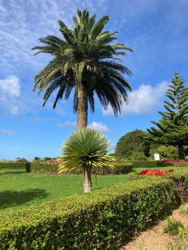 Hostal Quinta Das Palmeiras