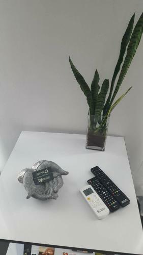 Apartamento Barrocas Do Mar