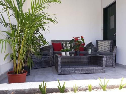 Azores Patio House
