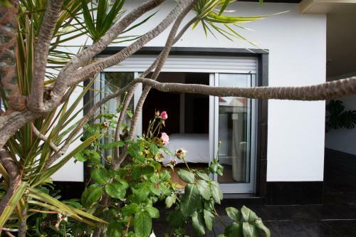 Casa Do Limoeiro