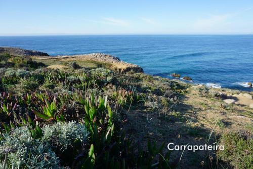 Apartamento Maresoul - Ferienapartment Soul
