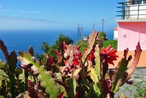 Hostal Mar A Vista 2