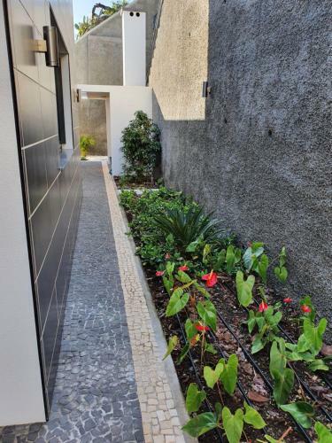 Villa Brava Atl�ntico