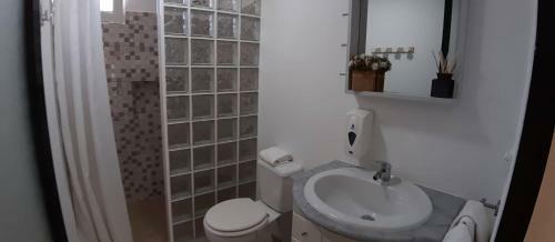 Hostal Casa Velha D Fernando E Casa Av� Augusta