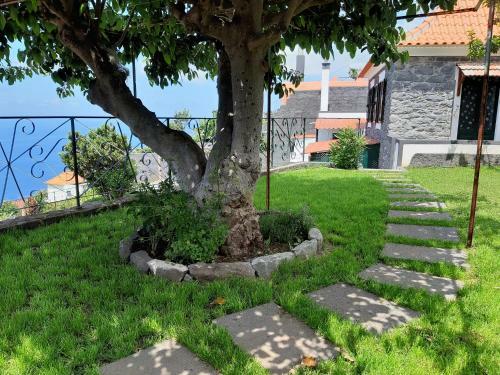 Hostal Casa Velha D Fernando E Casa Av� Augusta
