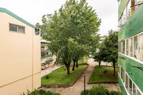Apartamento Isabel Dream I