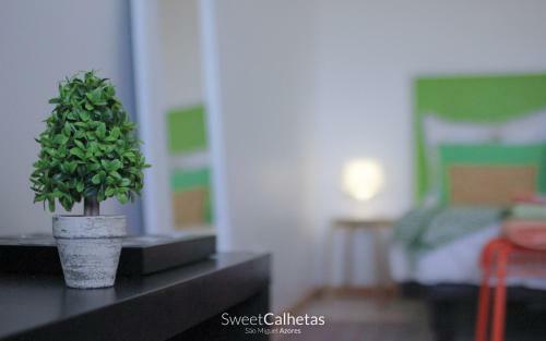 Apartamento Sweet Calhetas