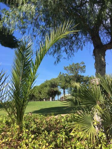 Apartamento Quarteira Al-sakia Algarve