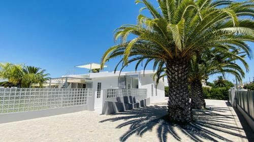 Villa Moderna Cip