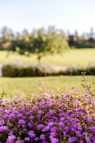 Villa M30 - Luxury Villa Front Golf - Private Pool