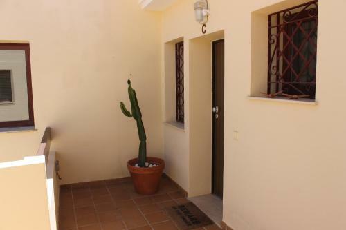 Apartamento Algarve Para�so / Golf Vila S�l