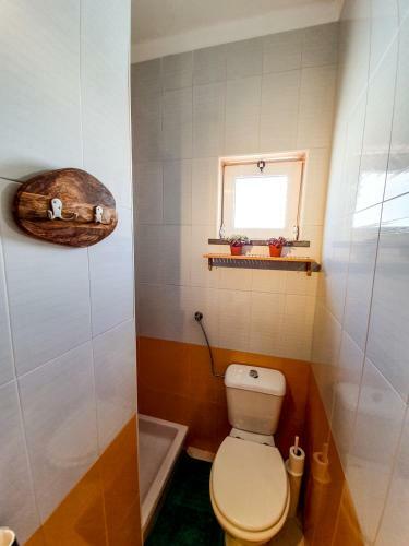 Hostal Jelly Fish Guest House