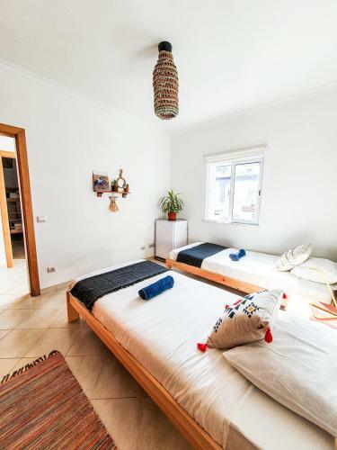 Hostal Jelly Fish Guest House